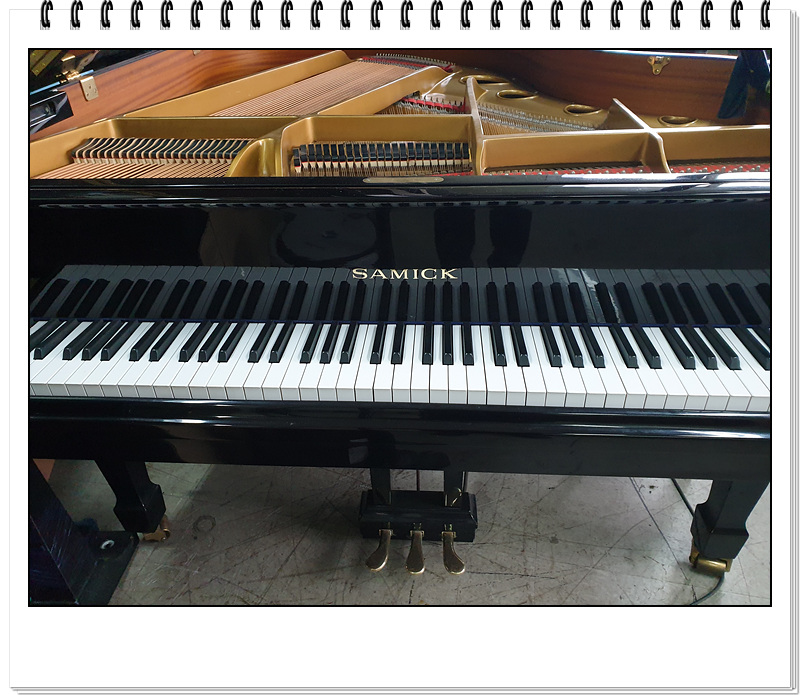 4a439cdc2e6783960808be84cb76e802_1579858