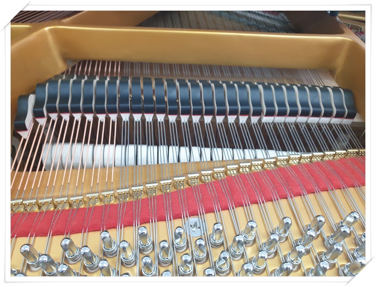 fb2d68fecea8f9bf3ab8c0a6faa6aa7d_1579921400_9566.jpg fb2d68fecea8f9bf3ab8c0a6faa6aa7d_1579921