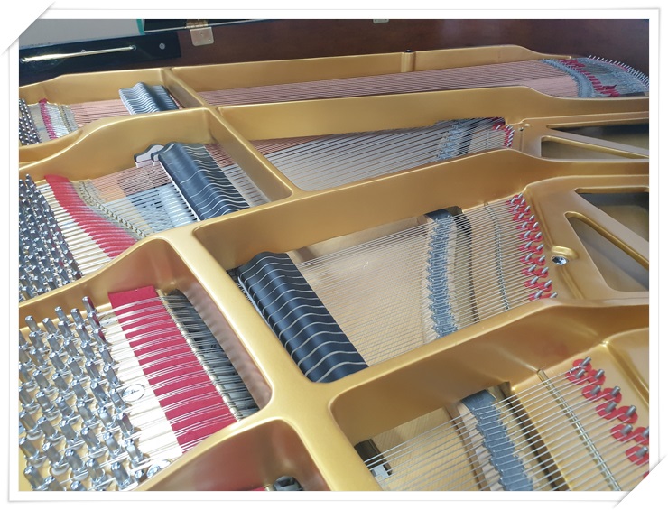 fb2d68fecea8f9bf3ab8c0a6faa6aa7d_1579921401_0475.jpg fb2d68fecea8f9bf3ab8c0a6faa6aa7d_1579921