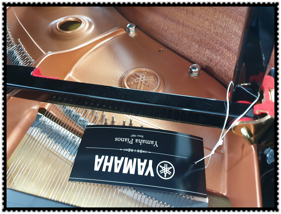 e57d1600dee1879212ba513c1e26faae_1607223