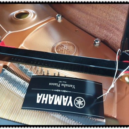 6개월된 야마하그랜드피아노