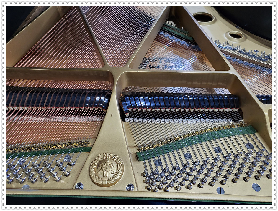 8a38a0fbcdf1b16e8906ca559fc391d5_1671346