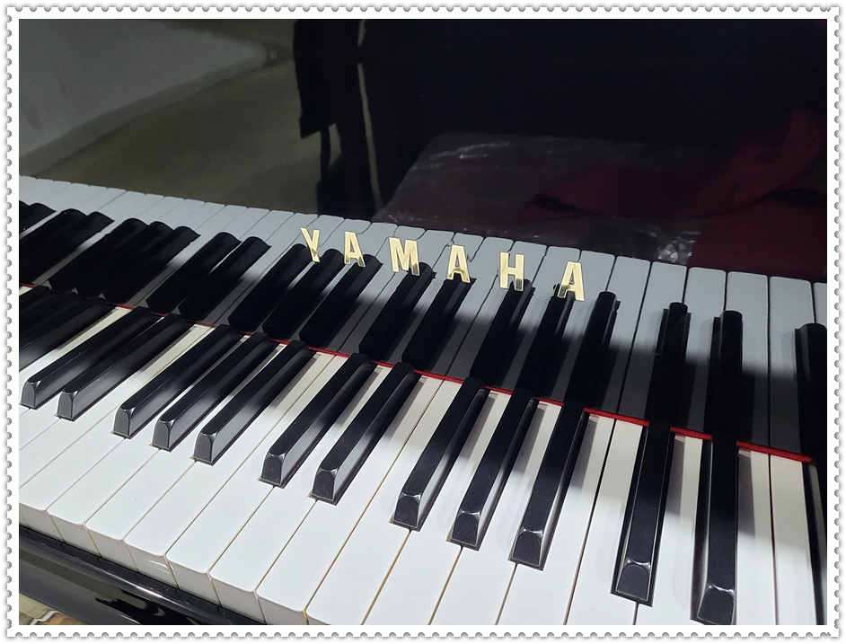 8a38a0fbcdf1b16e8906ca559fc391d5_1671346