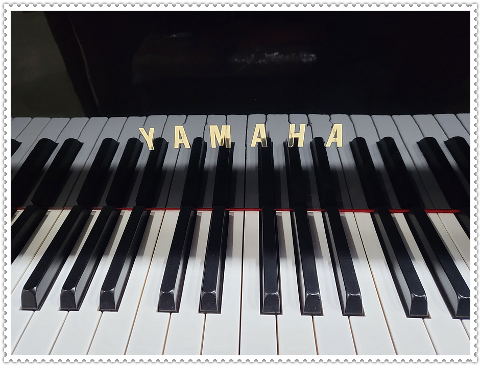 8a38a0fbcdf1b16e8906ca559fc391d5_1671346