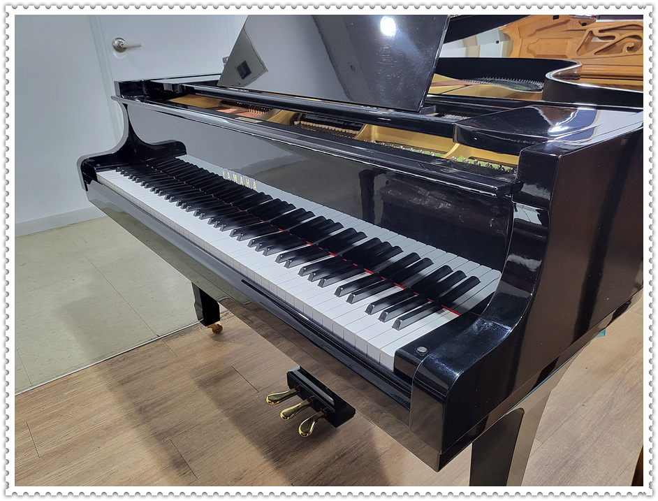 8a38a0fbcdf1b16e8906ca559fc391d5_1671346