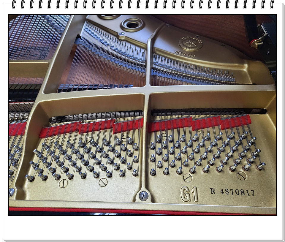 18f63cfb0213006241556715d8e3290d_1673610