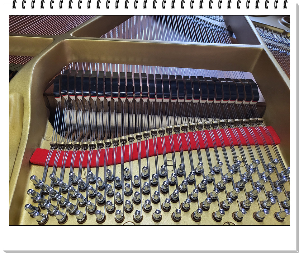 18f63cfb0213006241556715d8e3290d_1673610