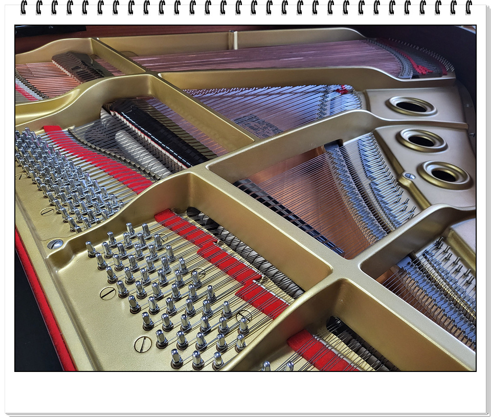 18f63cfb0213006241556715d8e3290d_1673610