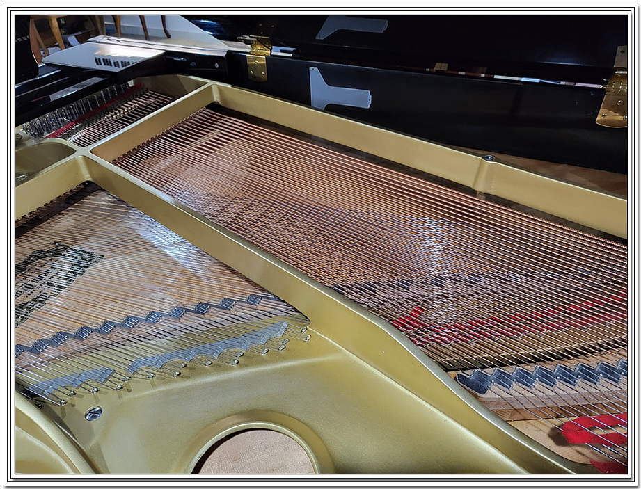 fdc190d67947aa9435a23e2c019bbe86_1675486