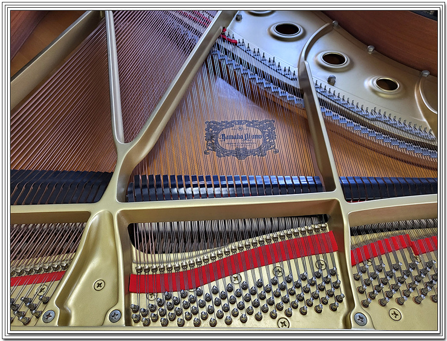 fdc190d67947aa9435a23e2c019bbe86_1675486