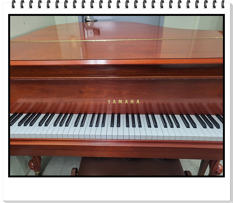 271390384cd69112e249b6c1a0387447_1728045