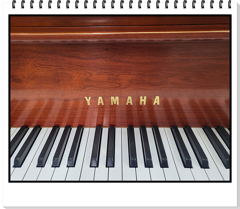 271390384cd69112e249b6c1a0387447_1728045