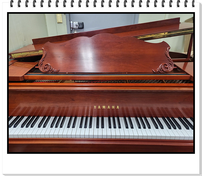 271390384cd69112e249b6c1a0387447_1728045