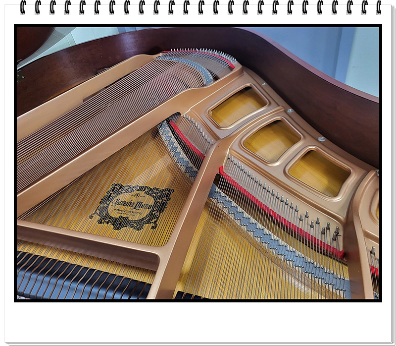 271390384cd69112e249b6c1a0387447_1728045