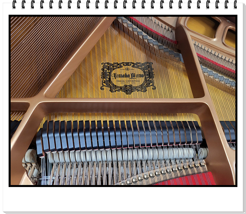 271390384cd69112e249b6c1a0387447_1728045