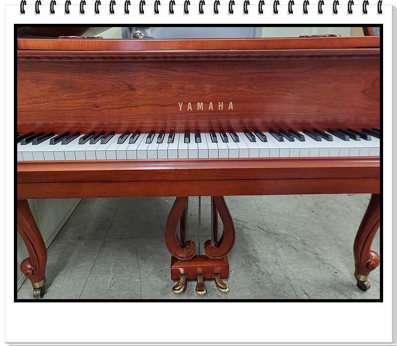 271390384cd69112e249b6c1a0387447_1728045