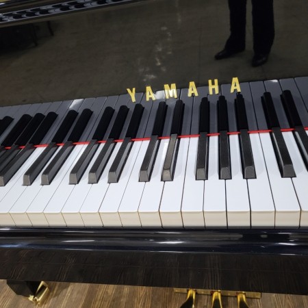 베이비그랜드피아노 #4